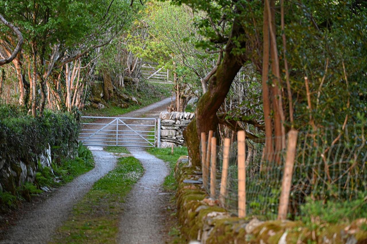 Apartmán Ty Gwennol Near Gilfach Goch Llanbedr  Exteriér fotografie