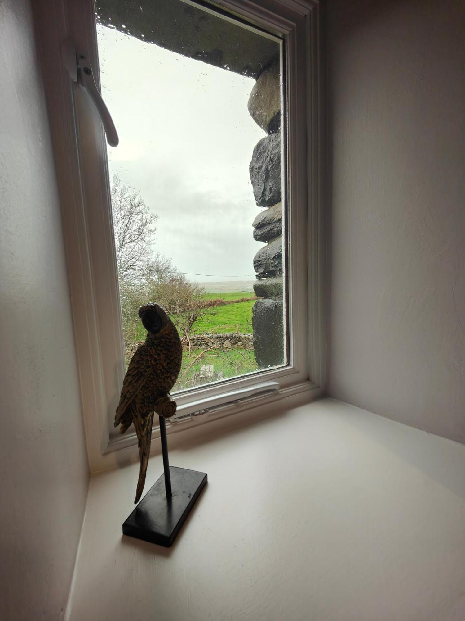 Apartmán Ty Gwennol Near Gilfach Goch Llanbedr  Exteriér fotografie
